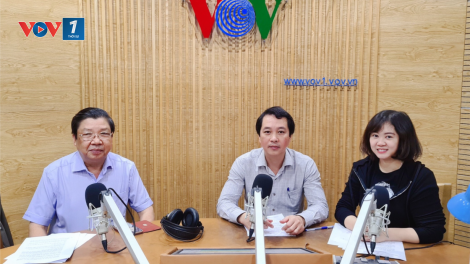 Vượt khó, ngành xuất khẩu gõ đạt tăng trưởng kỉ lục năm 2020 (15/11/2020)