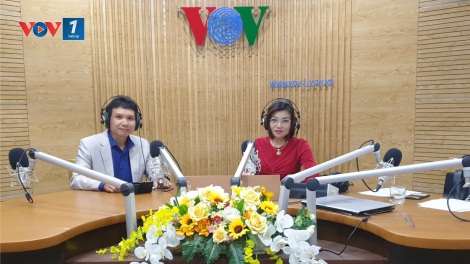 Cần thông tin đầy đủ về tiêu chuẩn, quy chuẩn, chất lượng của tấm quang điện (hay còn gọi là tấm pin mặt trời) trong phát triển điện mặt trời ở Việt Nam