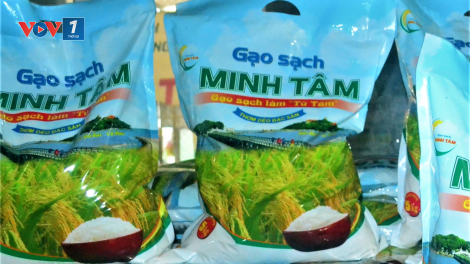 Cà Mau: Trồng lúa sạch, lợi đôi đường (25/11/2020)