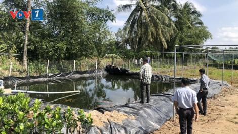 Nông dân Bến Tre, tìm cách trữ nước chống hạn (01/12/2020)