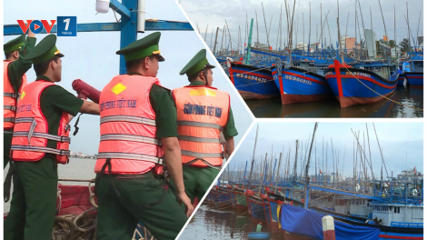 Các tỉnh Nam Trung bộ cấm biển, không chủ quan với bão số 10 (4/11/2020)