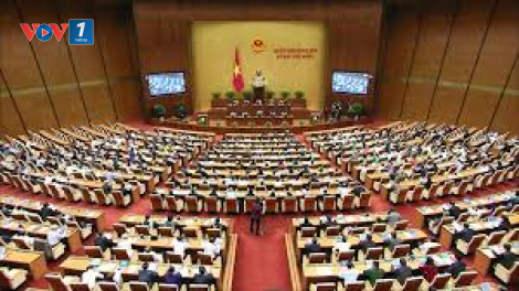 Đại biểu Quốc hội với những giải pháp phát triển kinh tế xã hội (05/11/2020)