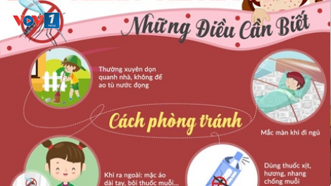 Sốt xuất huyết bùng phát: Người dân không được chủ quan (Ngày 15/11/2020)