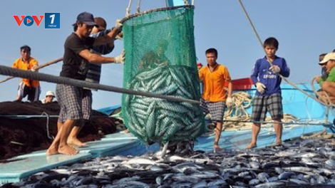 Những vướng mắc cần tháo gỡ trong xử phạt các hành vi vi phạm khai thác thủy sản bất hợp pháp (13/11/2020)