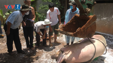 "Vững” truyền thống công binh hải quân (05/11/2020)