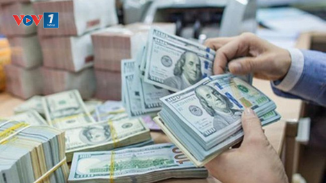 Tỷ giá đô la Mỹ đồng loạt giảm, lãi suất liên ngân hàng “đi ngang” (7/12/2020)