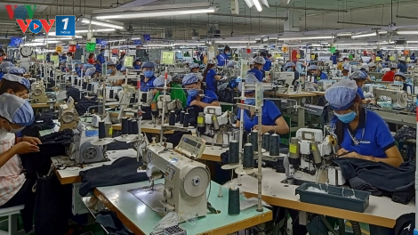 Ảnh hưởng của Covid 19: Doanh nghiệp được tạm dừng đóng BHXH (27/11/2020)