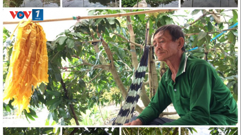 Loạt bài "Chuyển đổi tư duy phát triển ĐBSCL". Bài 3 nhan đề “Vượt thách thức để Cửu Long cất cánh”. (30/12/2020)