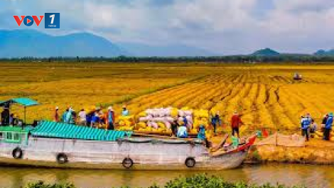 Quy hoạch vùng trong nông nghiệp: Góc nhìn của đại biểu Quốc hội (07/12/2020)