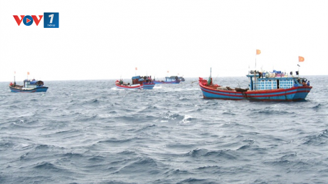 Tổ đội, nghiệp đoàn hỗ trợ ngư dân vươn khơi đảm bảo an toàn ( 4/12/2020)