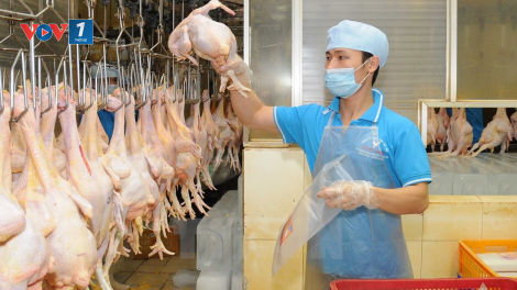 Truy xuất nguồn gốc giúp doanh nghiệp tiết kiệm đến 60% thời gian quản lý thông tin (24/12/2020)
