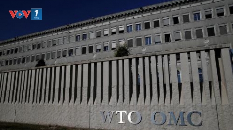 WTO công bố chỉ số triển vọng thương mại toàn cầu mới (20/2/2020)