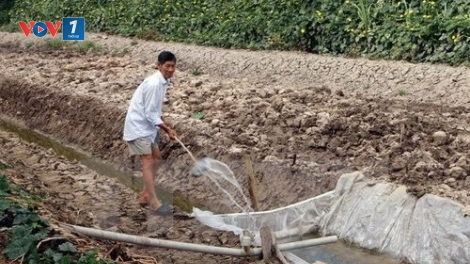 Các tỉnh đồng bằng sông Cửu Long ứng phó với hạn mặn (12/2/2020)
