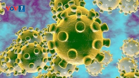 Việt Nam nuôi cấy thành công virus corona mới (7/2/2020)