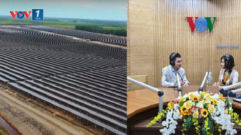 Ưu tiên phát triển năng lượng tái tạo và sử dụng hiệu quả nguồn năng lượng: Những yêu cầu cụ thể tại Nghị quyết 55-NQ/TW của Bộ Chính trị (28/2/2020)