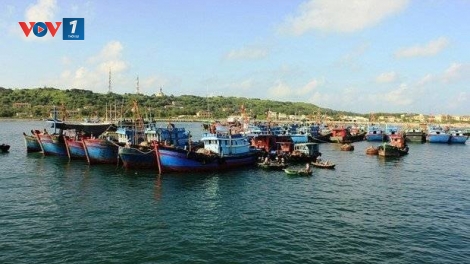 Bạch Long Vỹ - Trung tâm hậu cần nghề cá ở Vịnh Bắc Bộ (17/2/2020)