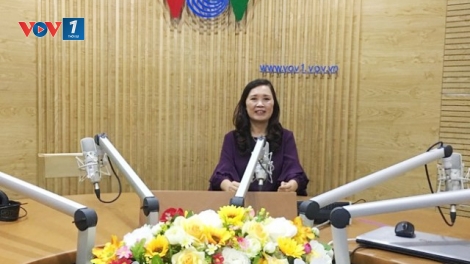 Đẩy mạnh mô hình cung ứng hàng Việt về các khu công nghiệp, khu chế xuất (5/2/2020)