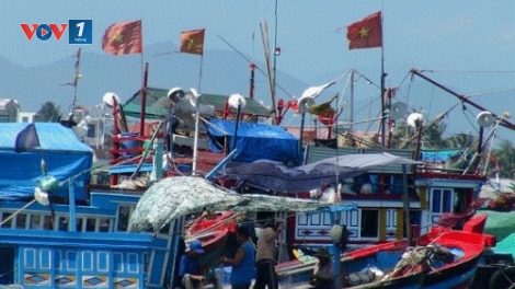 Những giải pháp hỗ trợ ngư dân vươn khơi bám biển (20/2/2020)