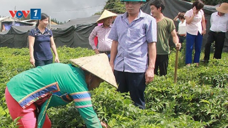 Hỗ trợ bà con dân tộc thiểu số giảm nghèo bền vững: Cần kết nối thị trường tiêu thụ nông sản (24/2/2020)