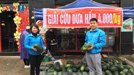 Tiêu thụ nông sản: Để không còn phải "giải cứu" (13/2/2020)