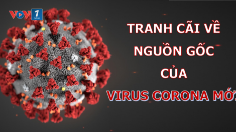 Tranh cãi về nguồn gốc của virus Sars-Covi 2 (13/3/2020)
