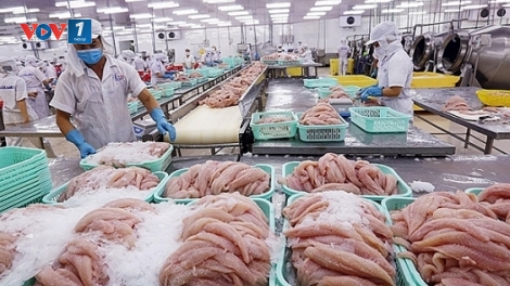 Covid-19 và giải pháp của ngành thủy sản (7/3/2020)