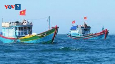Hiệu quả của đường dây nóng xử lý các vấn đề về nghề cá phát sinh trên biển giữa Việt Nam và các nước (16/3/2020)