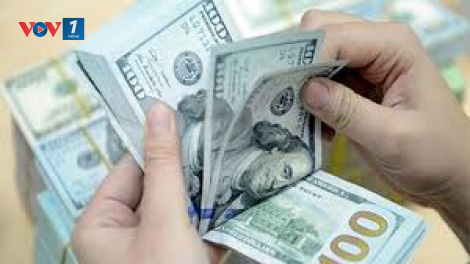 Giá đô la Mỹ tăng vọt, không xuất hiện đầu cơ (26/3/2020)