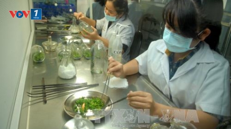Thực hiện mô hình thí điểm hợp tác công tư về tiếp cận nguồn gen và chia sẻ lợi ích (4/3/2020)
