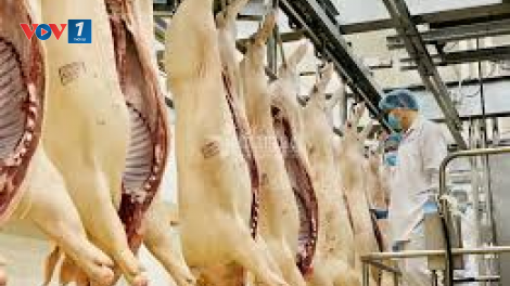 PTT Trịnh Đình Dũng: Giảm giá thịt lợn là trách nhiệm đảm bảo đời sống người dân và ổn định kinh tế vĩ mô (30/3/2020)