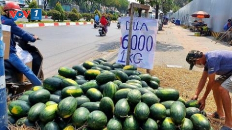 Giải cứu nông sản và câu chuyện quá phụ thuộc vào một thị trường (12/3/2020)