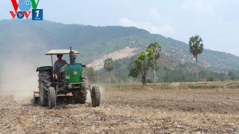 Đồng bằng sông Cửu Long: Giải pháp ứng phó hạn mặn, bảo vệ cây trồng (17/3/2020)