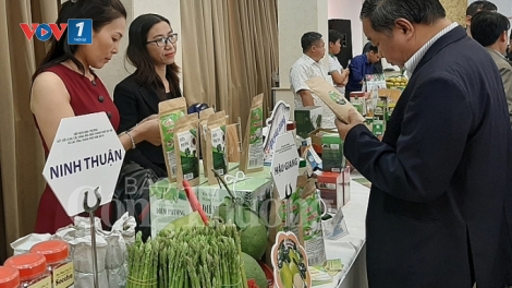 Tiêu chuẩn hóa, công nhận thêm ít nhất 1.200 sản phẩm OCOP năm nay (11/3/2020)