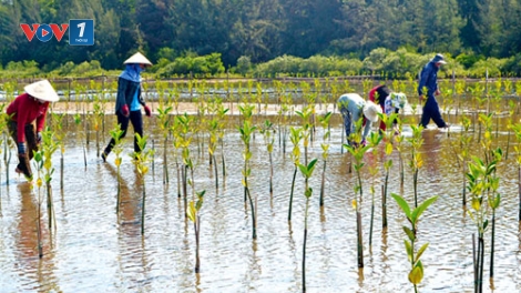 Hỗ trợ nông dân chủ động ứng phó với biến đổi khí hậu (8/3/2020)