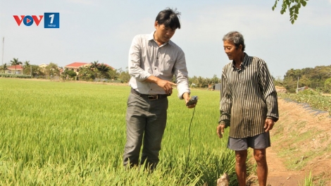 Vĩnh Long: Nỗ lực đối phó hạn mặn (3/3/2020)