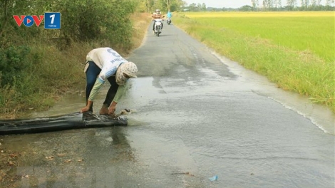 Chủ động ứng phó là điều kiện tiên quyết trước mối nguy hạn mặn (5/3/2020)