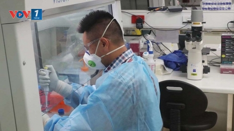 Australia: Các nhà khoa học sẽ thử nghiệm vaccine COVID-19 trên người vào giữa năm nay (14/3/2020)