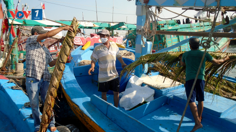Bình Thuận: Giá xăng dầu giảm, ngư dân "ồ ạt" vươn khơi (5/4/2020)