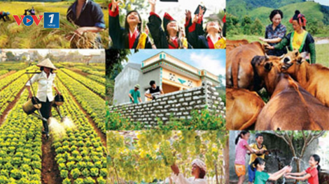 Những giải pháp thực hiện mục tiêu giảm nghèo bền vững (20/4/2020)
