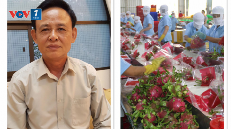 Sản xuất nông nghiệp tìm cơ hội phát triển trong bối cảnh dịch Covid-19 (23/4/2020)