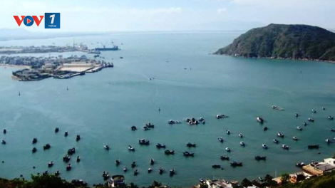 Bình Định: Phát huy vai trò của cộng đồng trong bảo vệ nguồn lợi thủy sản (13/4/2020)