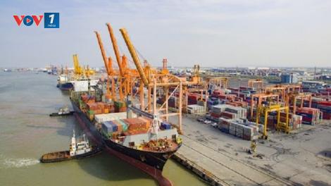 Hải Phòng: Tăng cường các biện pháp kiểm dịch y tế với toàn bộ thuyền viên tàu hàng Panama (5/4/2020)