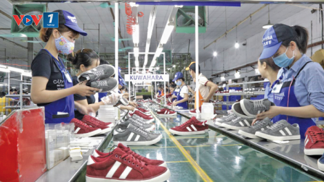 Việt Nam cần làm gì để tận dụng cơ hội vàng từ Hiệp định EVFTA (22/5/2020)