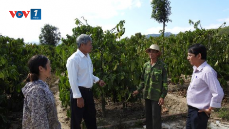 Kon Tum: Vì lợi ích chung người dân hiến hơn 20.000m2 đất làm cầu (24/5/2020)