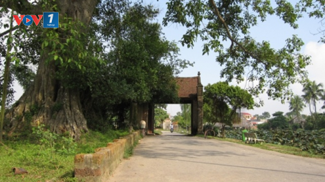 Neo giữ những miền quê (23/5/2020)