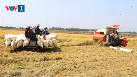 Khôi phục sản xuất nông nghiệp – trụ đỡ cho kinh tế đất nước (21/5/2020)
