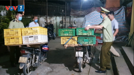 Lạng Sơn xử lý vụ việc kinh doanh giống gia cầm nhập lậu, tiêu hủy gần 5 nghìn con gia cầm giống (28/5/2020)
