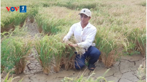 Lời giải cho “cơn khát” nước sinh hoạt trong mùa khô tại Trung Bộ và Tây Nguyên (8/5/2020)