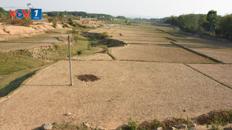 Các địa phương gồng mình chống hạn (26/5/2020)