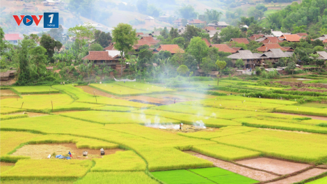 Chuyện những lá đơn xin thoát nghèo ở Nậm Pồ (28/5/2020)